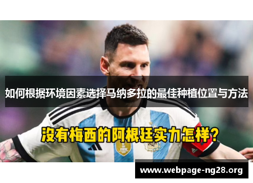 如何根据环境因素选择马纳多拉的最佳种植位置与方法